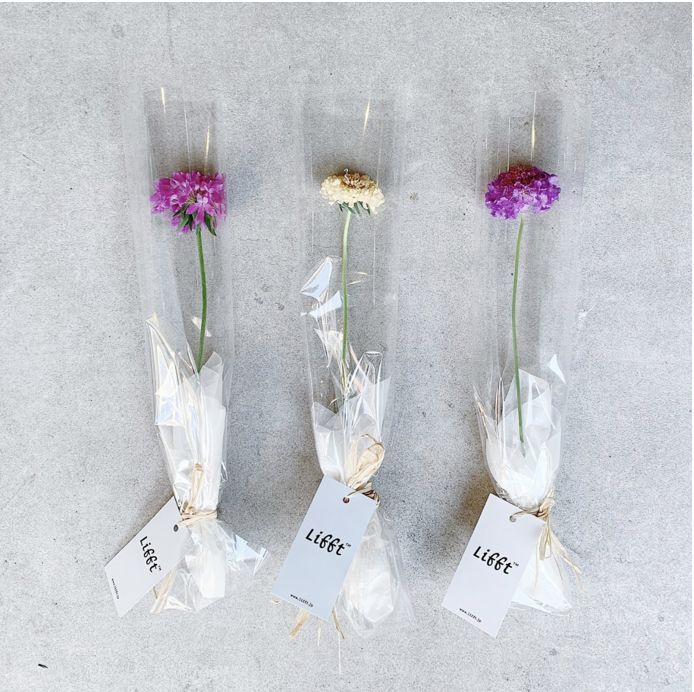 プレゼントされる一輪の花