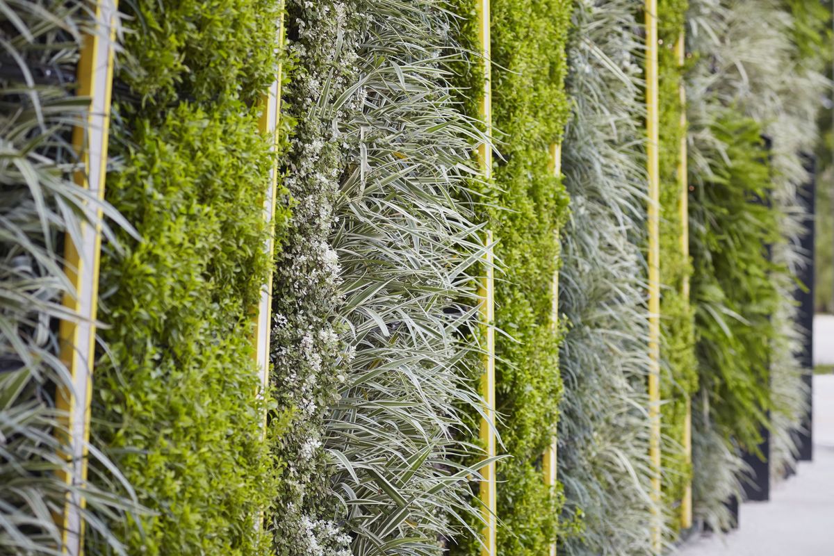 ウォルト・ディズニー・ワールド・リゾート内のマクドナルド