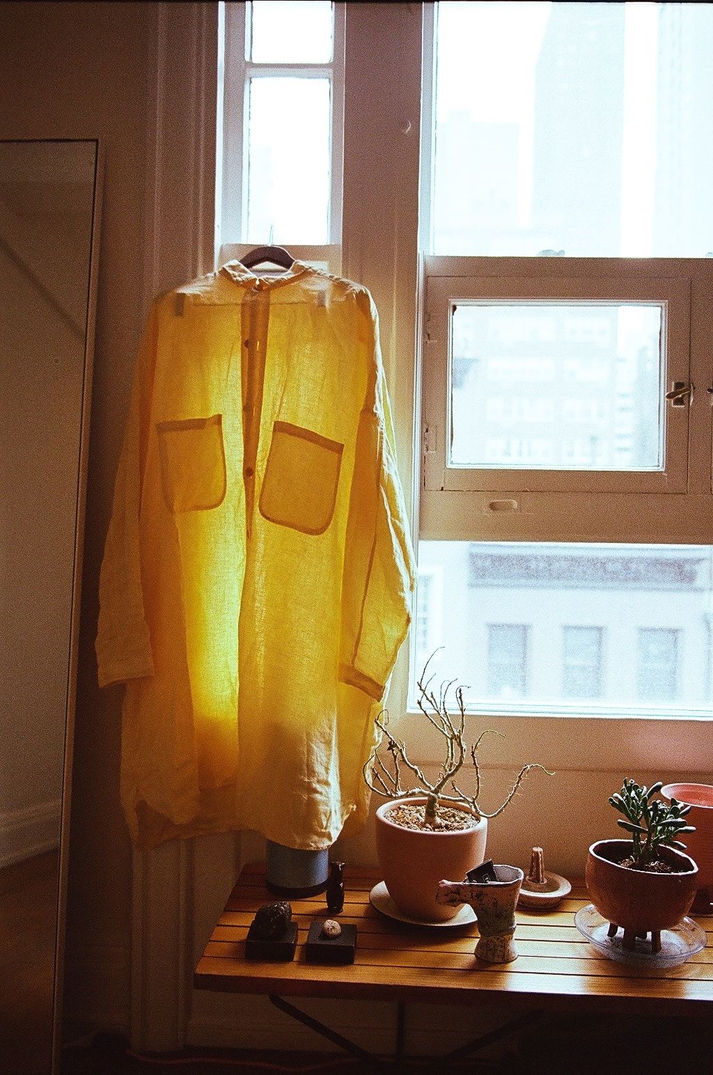 ボタニカルダイシャツが窓辺にかかった様子