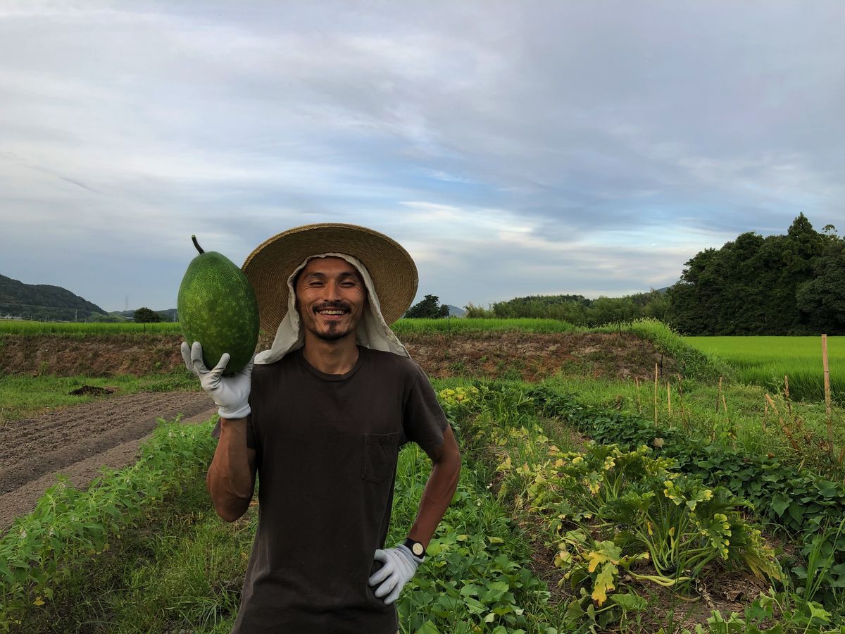 見事な冬瓜を収穫！