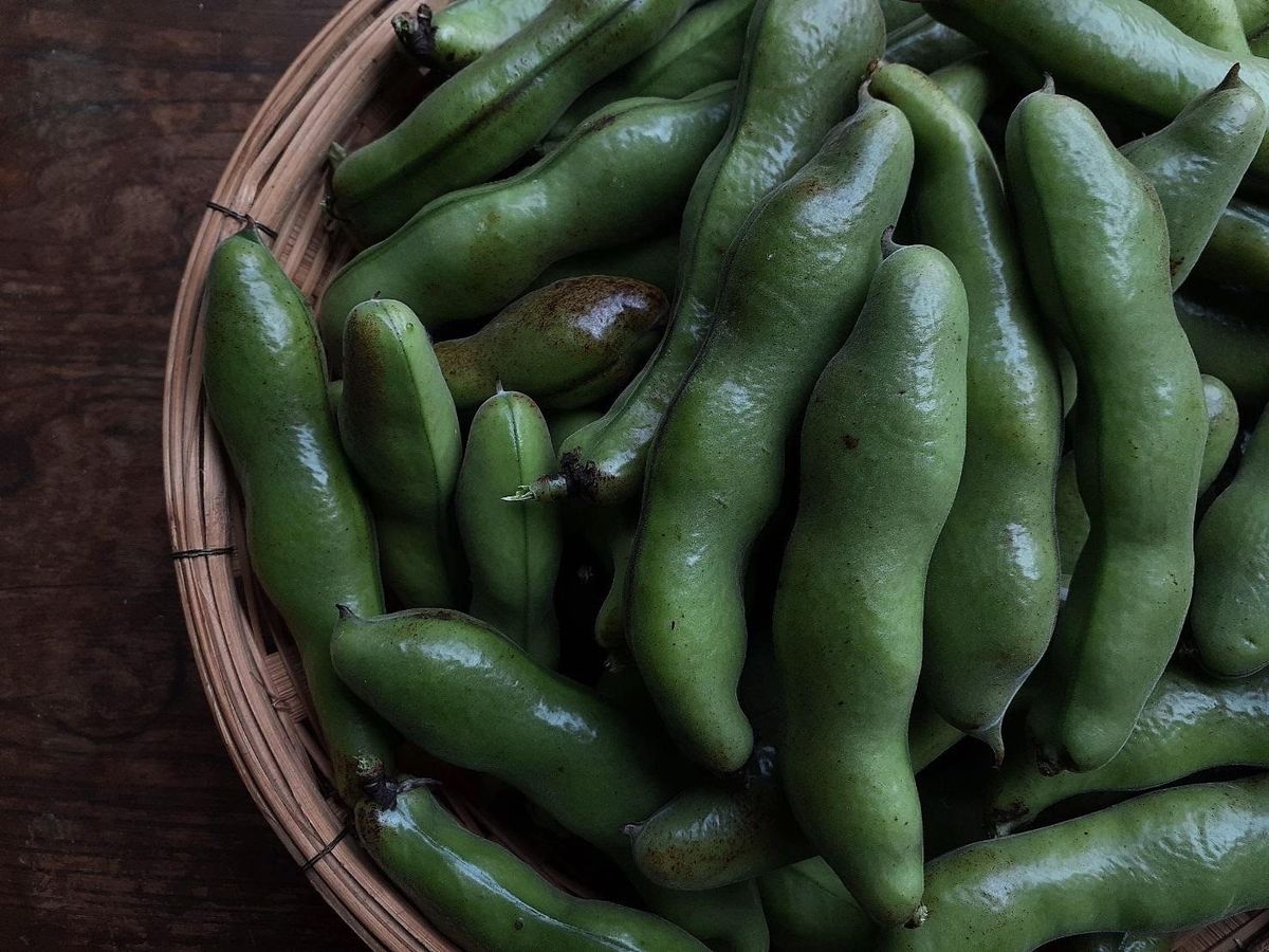 収穫したばかりの野菜たち