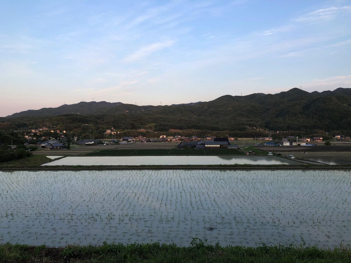 神戸の漁港からは山も見える。自然がすぐそこにある街だ