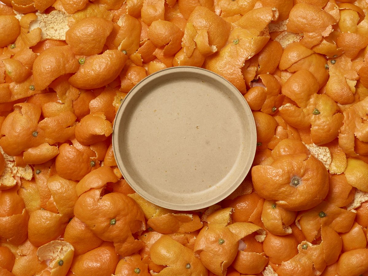 みかんの皮でできたedish