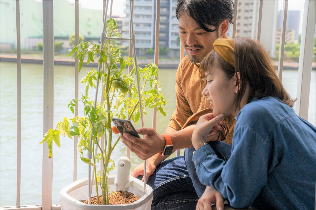 野菜を育てるカップル