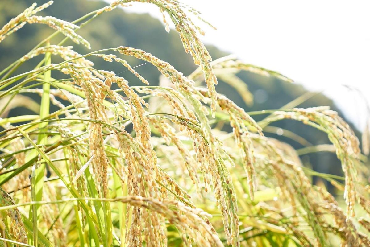 農！といえる酒蔵の会