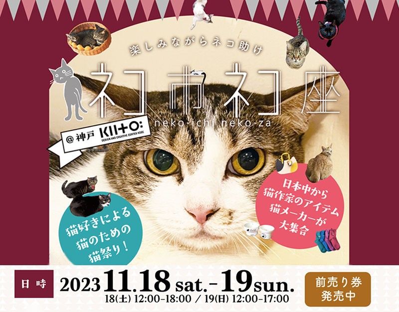 ネコ市ネコ座のビジュアル