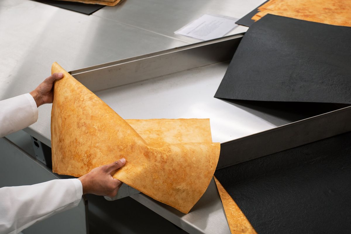 MycoWorksが提供する独自素材「レイシ」