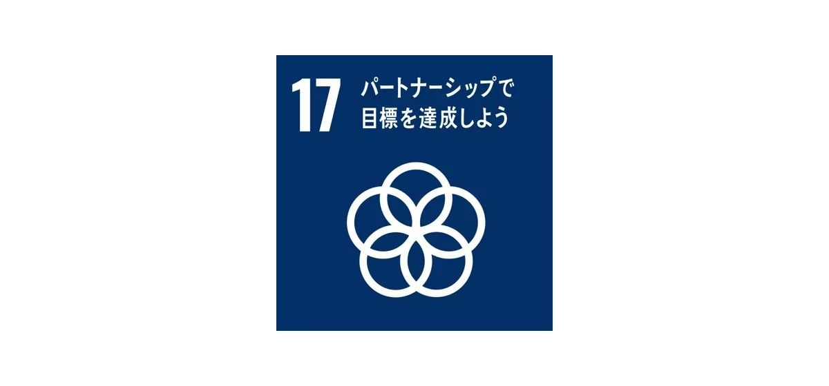 SDGs ウェディングケーキモデル 頂上の開発目標のアイコン