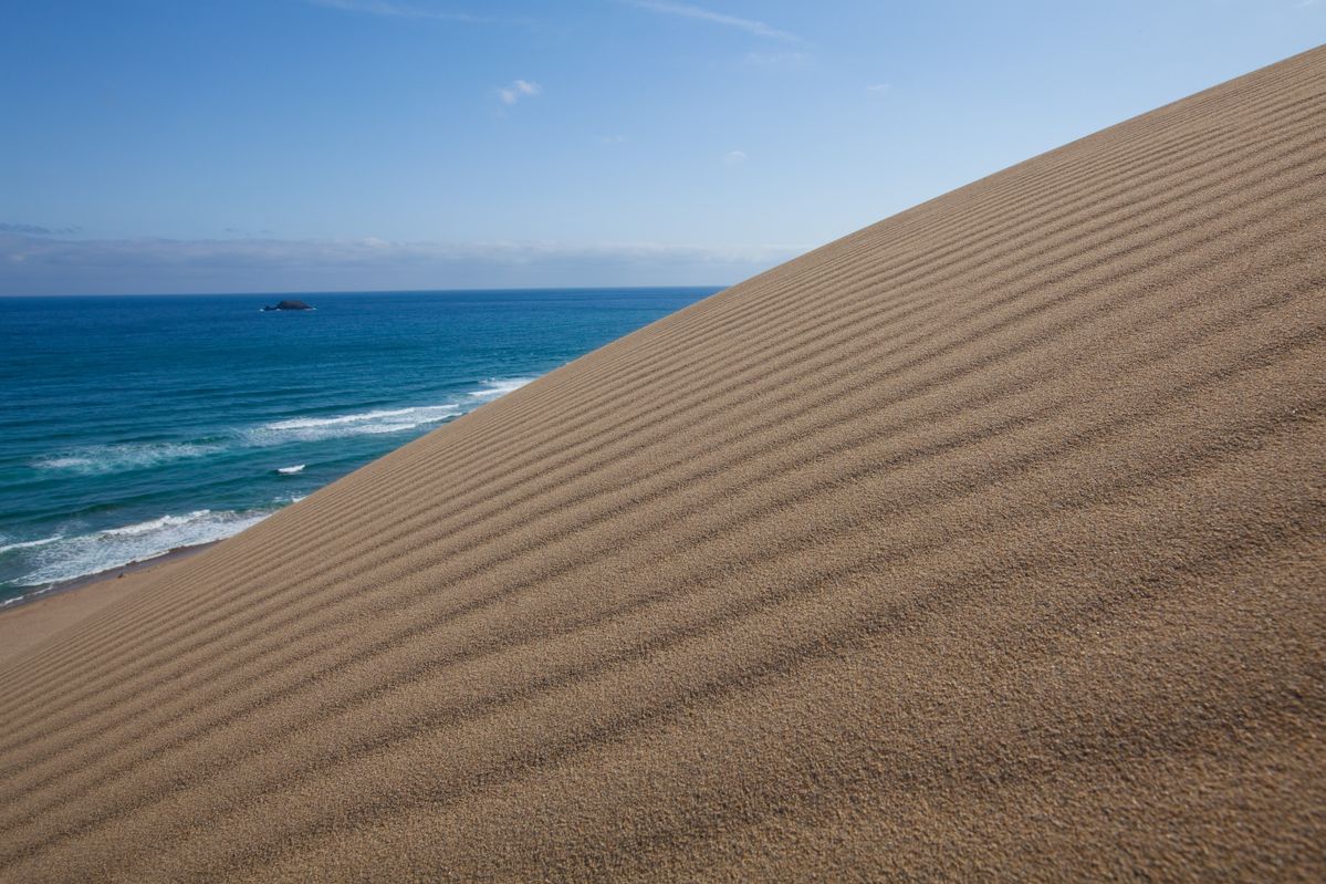 鳥取砂丘