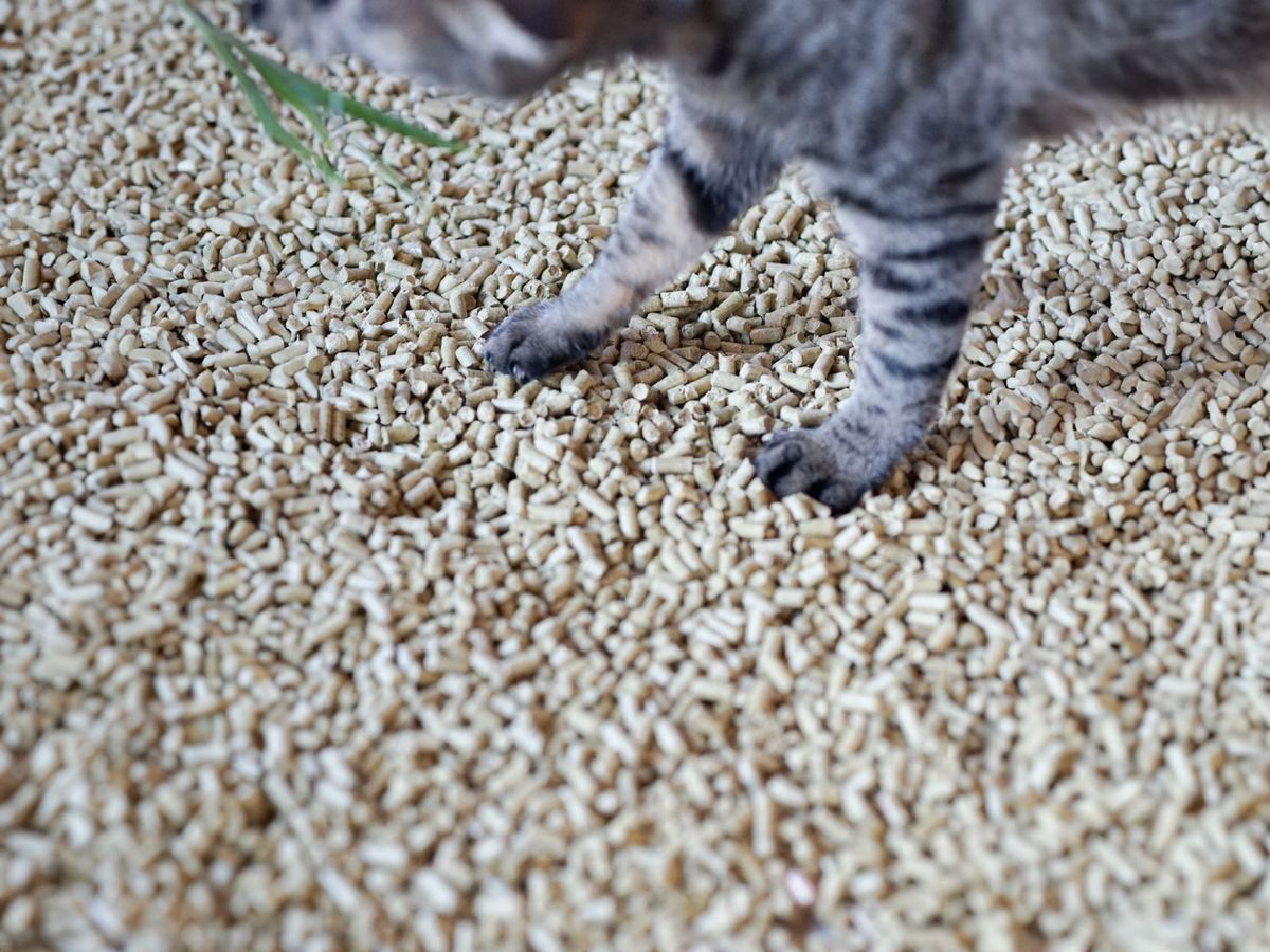 「竹ペレット 猫トイレ」
