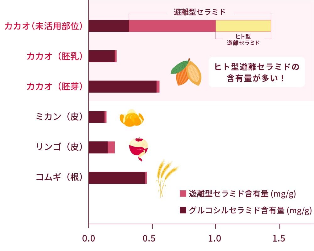 カカオに含まれるヒト型遊離セラミド