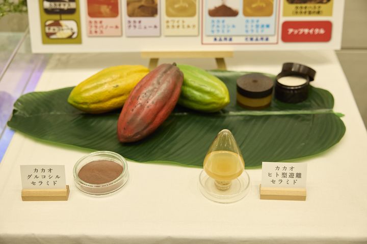 CMslhw0b1YWZzir3JJg5UACrSQob9Z