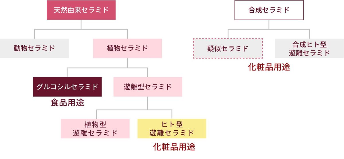 ヒト型遊離セラミドとは