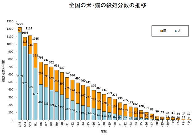 犬 殺処分 現状のグラフ