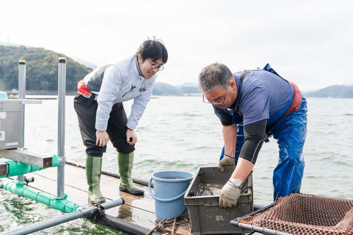 KDDIのスマート漁業