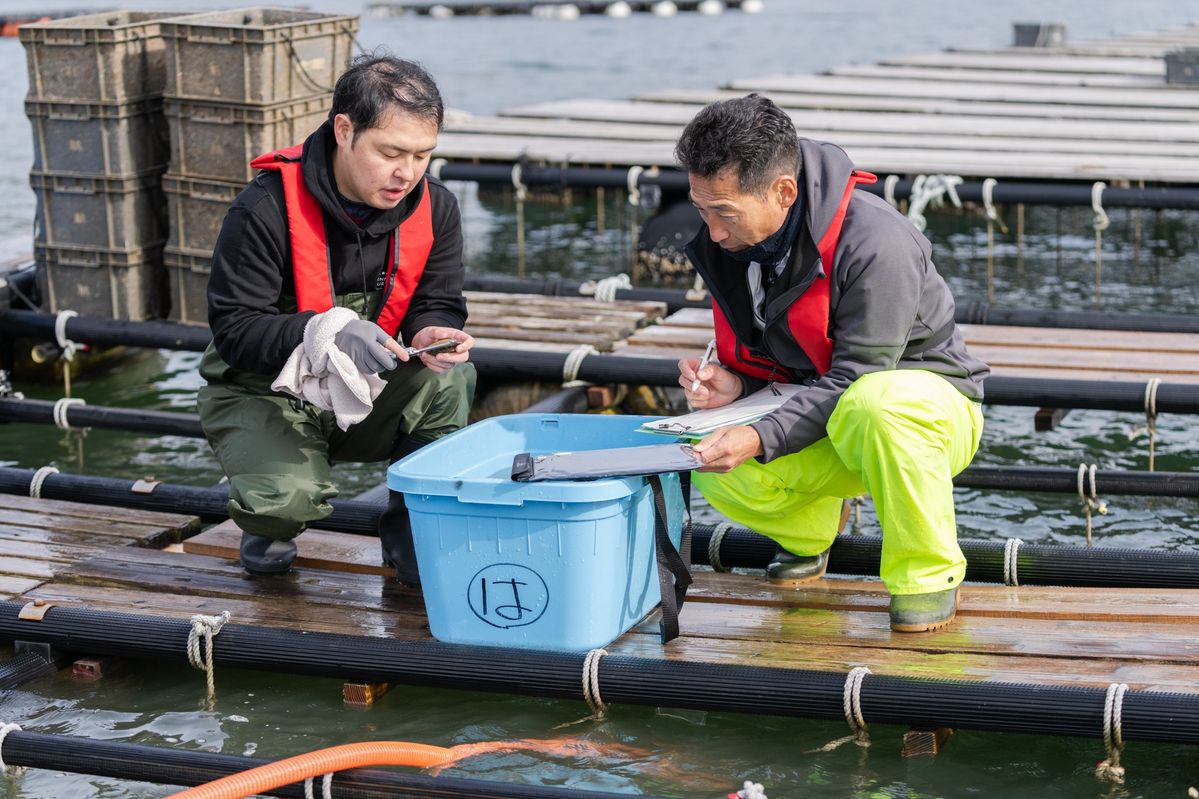 KDDIのスマート漁業