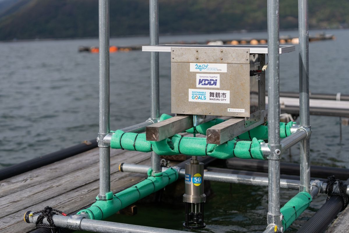 KDDIのスマート漁業