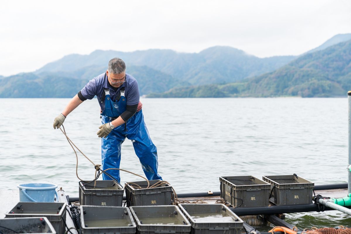 KDDIのスマート漁業