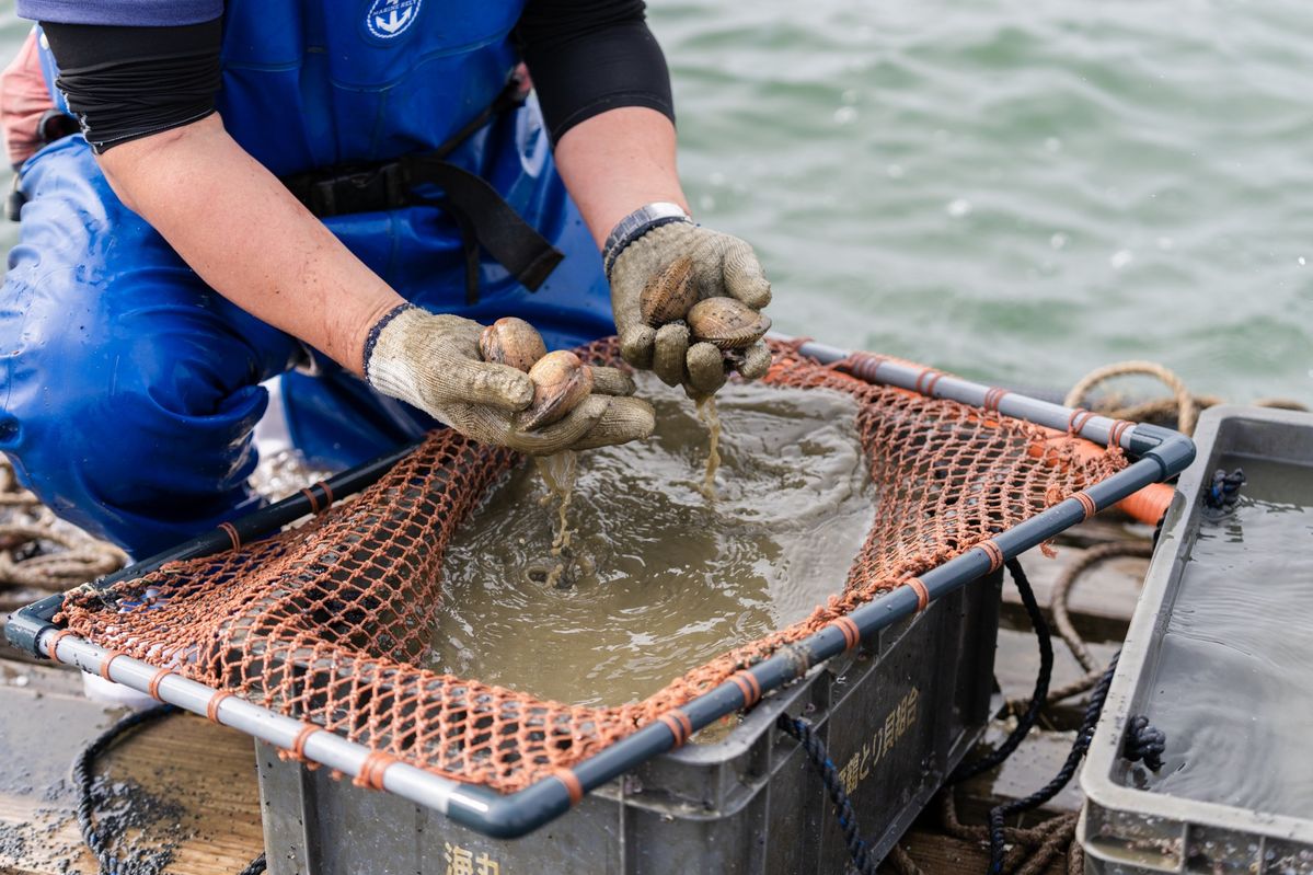 KDDIのスマート漁業