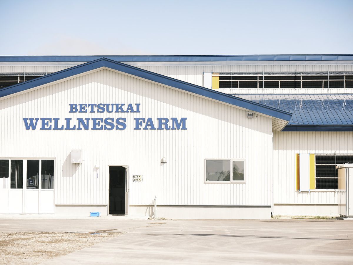 カネカの「ピュアナチュール™ オーガニックヨーグルトの別海ウェルネスファーム