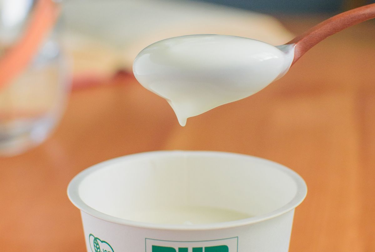 ピュアナチュールオーガニックヨーグルトをスプーンですくったところ