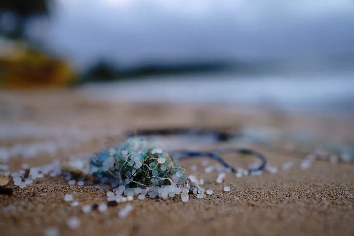 海 マイクロプラスチック 問題