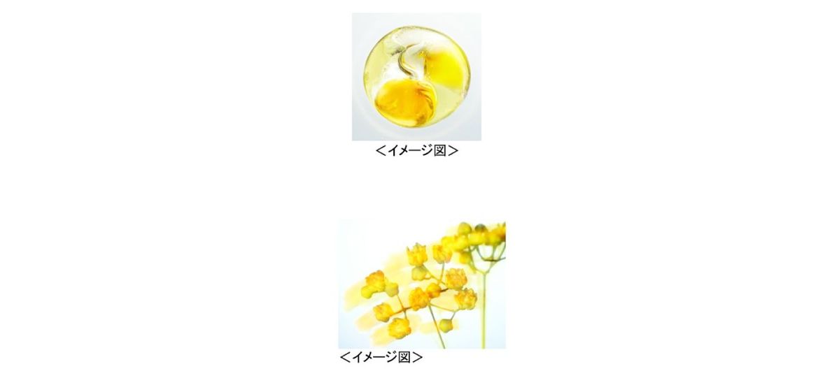 ザ・ギンザ シャワーオイルのイメージ図