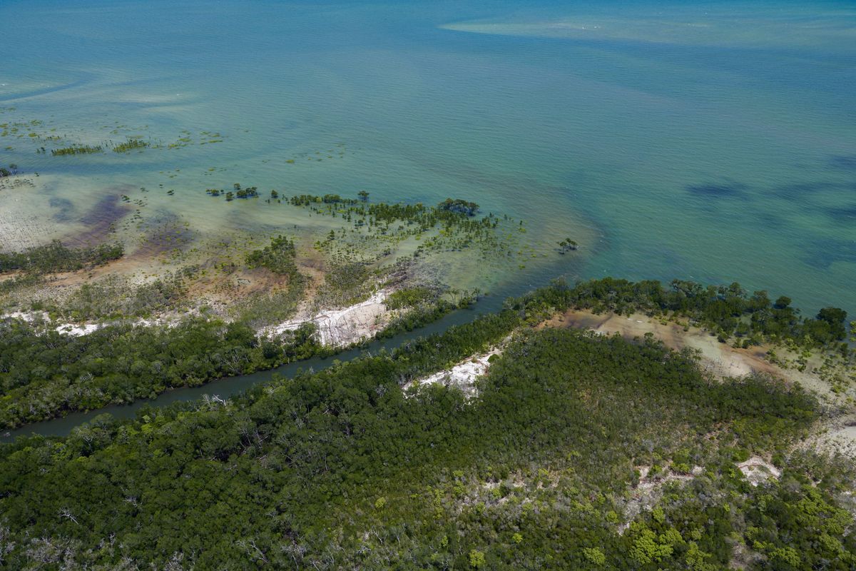 ルイ・ヴィトンと「People For Wildlife」は、効果的な保全管理および研究活動に不可欠な遠隔地や困難な地形