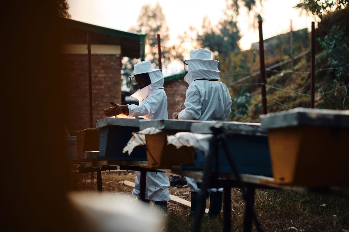 「WOMEN FOR BEES」のルワンダでの活動