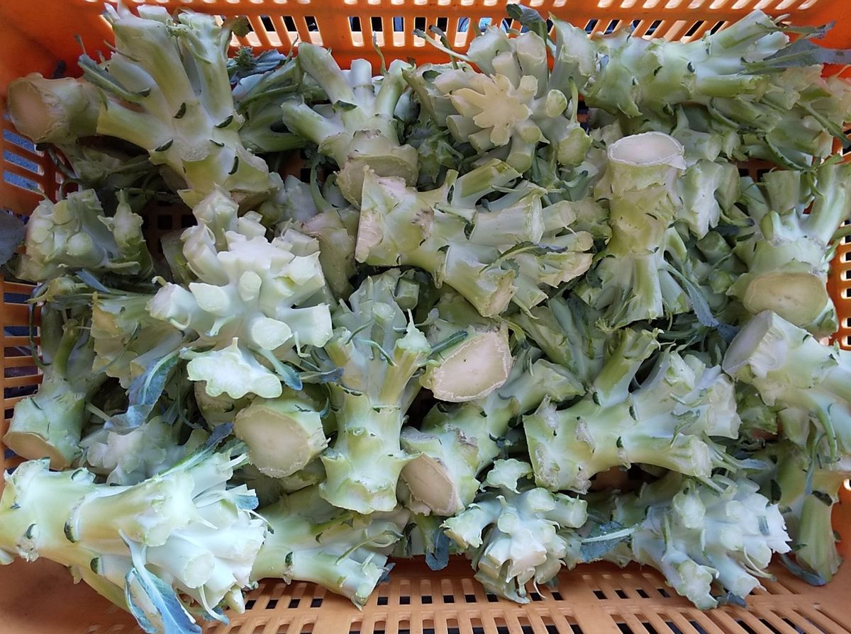 オイシックスの未活用食材(ブロッコリーの茎)