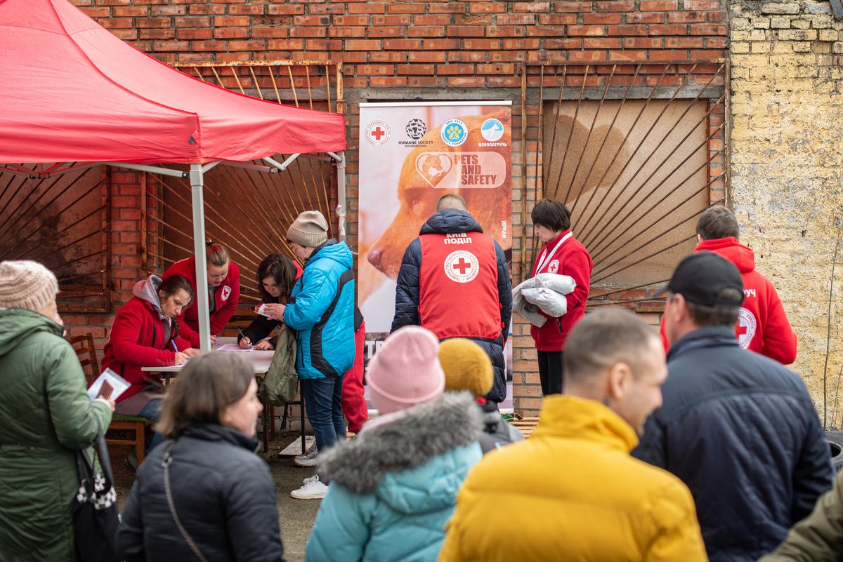 ウクライナでペットの救出活動を行うヒューメイン・ソサエティー・インターナショナルと赤十字
