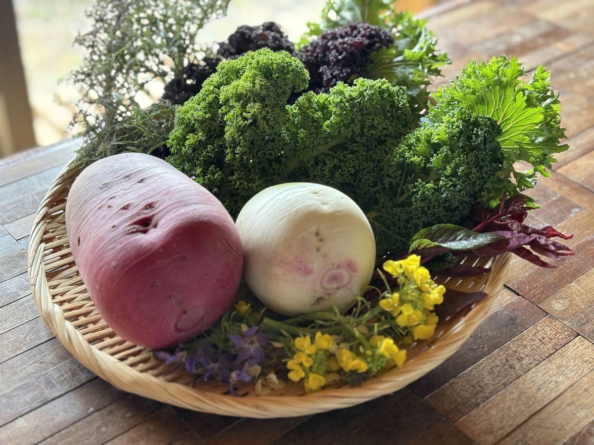 トモタカファームの野菜