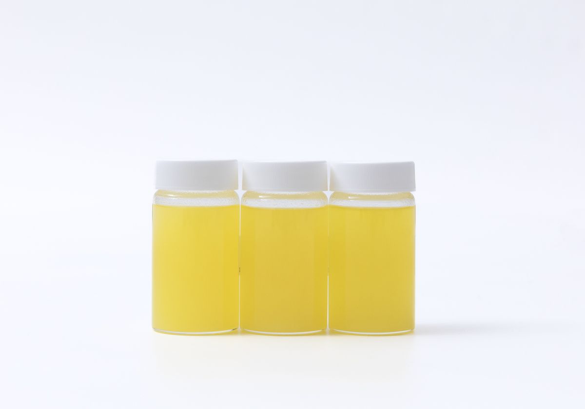 微細藻類から抽出・精製したオイル。