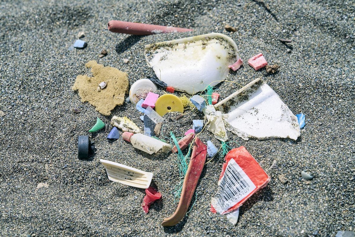 team530のビーチクリーン