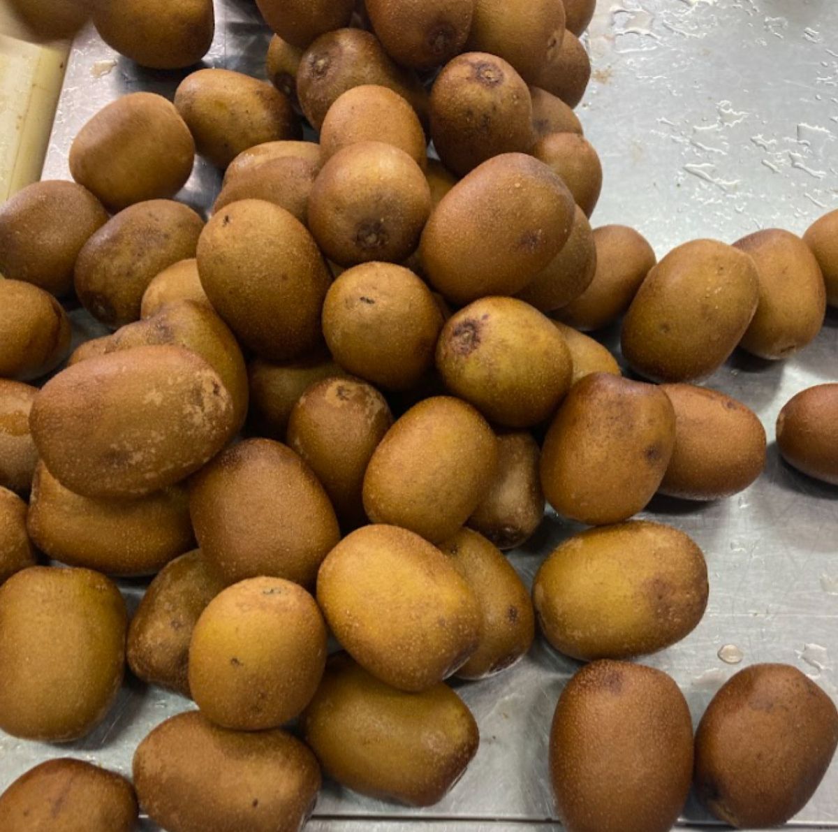 規格外とされたキウイ