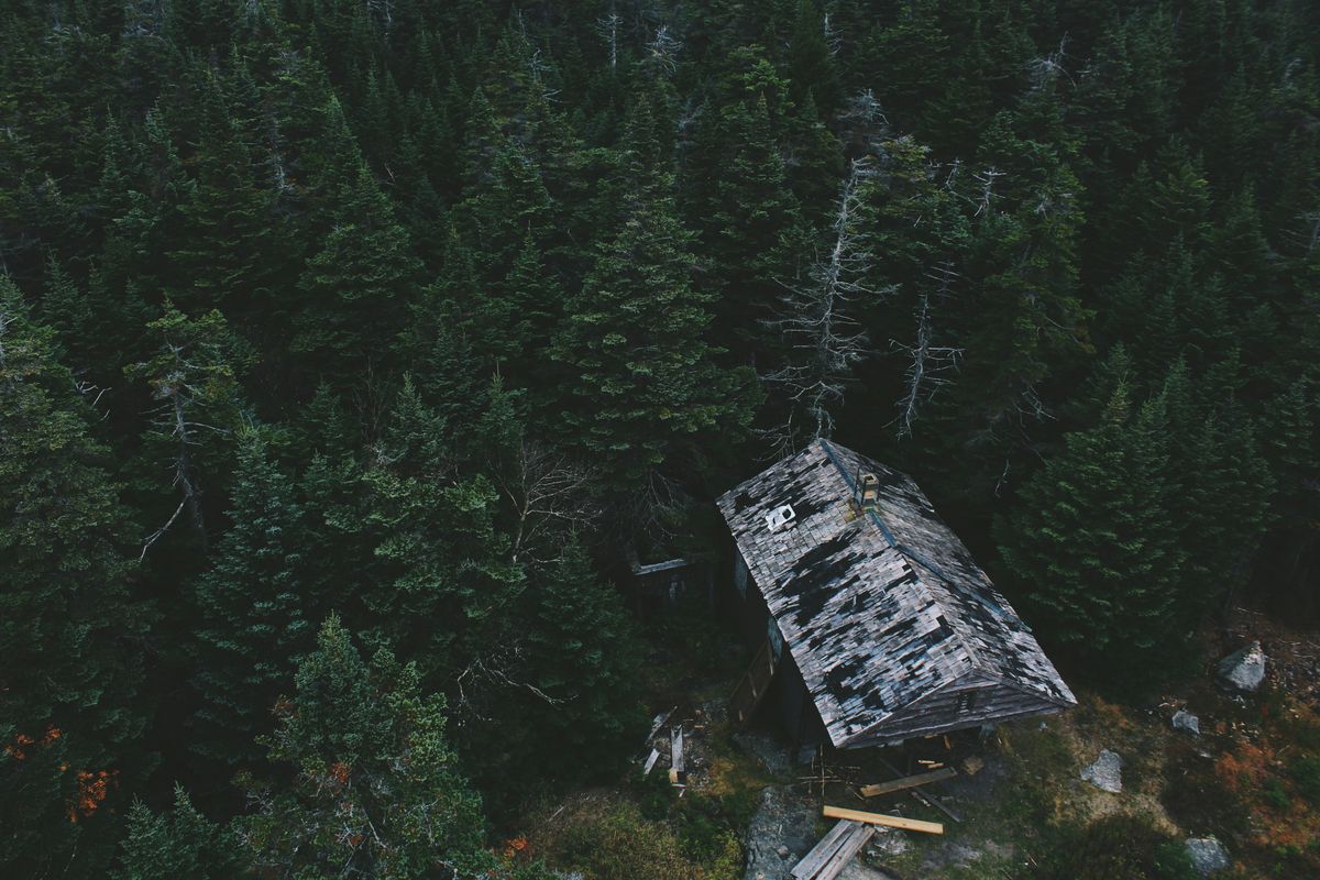 森の中の廃墟の航空写真