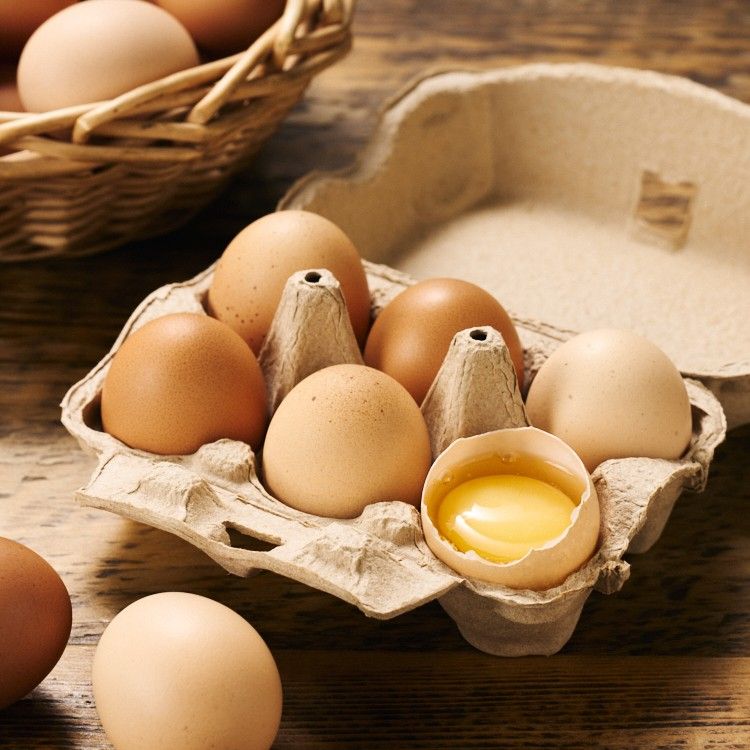 [KURKKU FIELDS]ピュアな味わい 平飼い卵