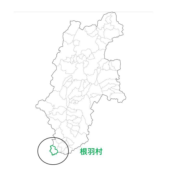 ⻑野県下伊那郡根⽻村の位置
