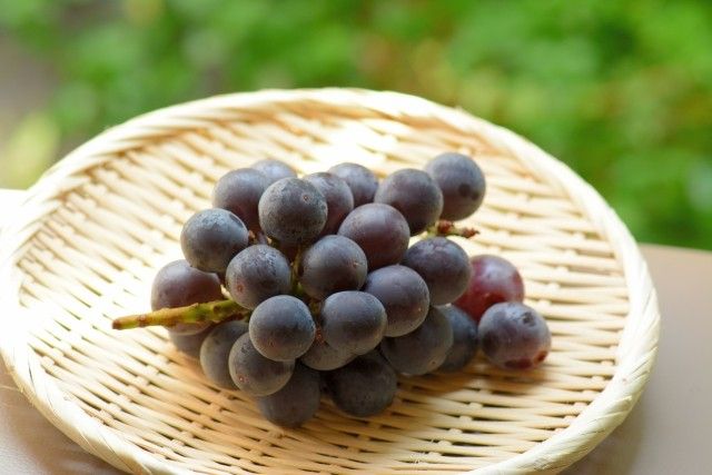 ぶどう