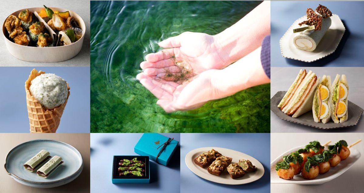 EAT AND MEET SEA VEGETABLE