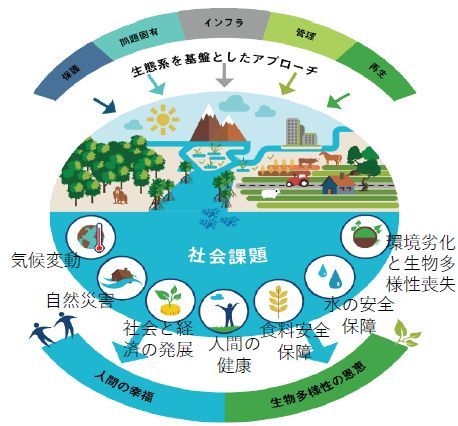 NbSの定義の概念図（IUCN2020）
