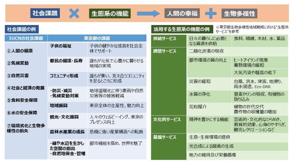 Tokyo-NbSアクションの図