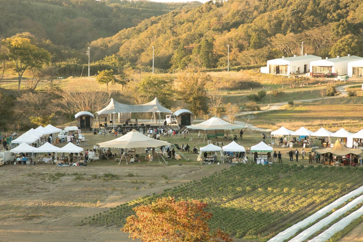 クルックフィールズ