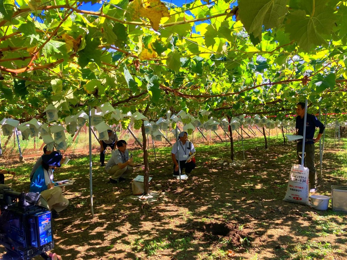 山梨県の「4パーミル・イニシアチブ」