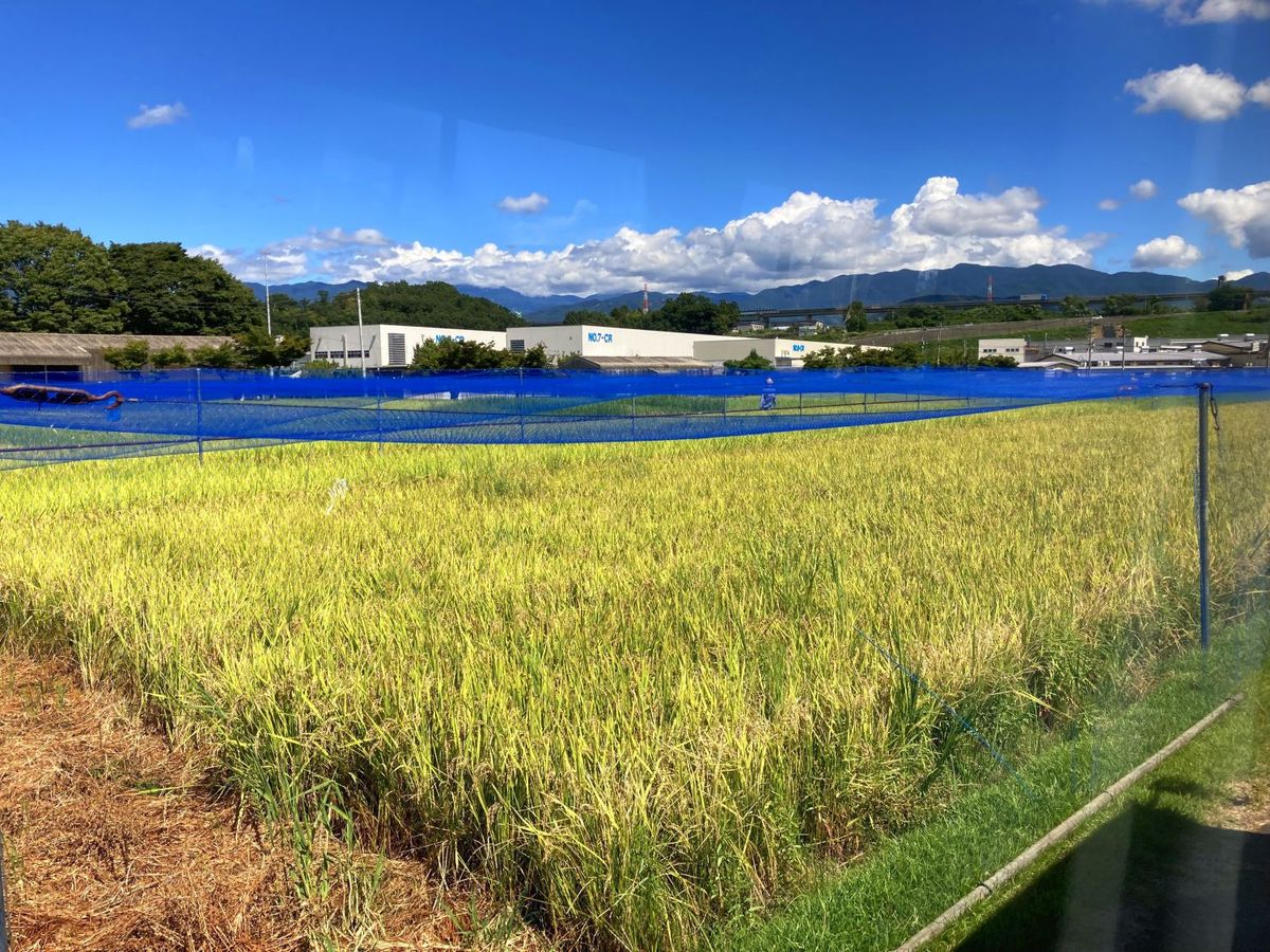 山梨県の「4パーミル・イニシアチブ」