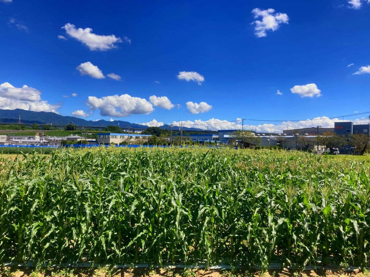 山梨の4パミール・イニシアチブ