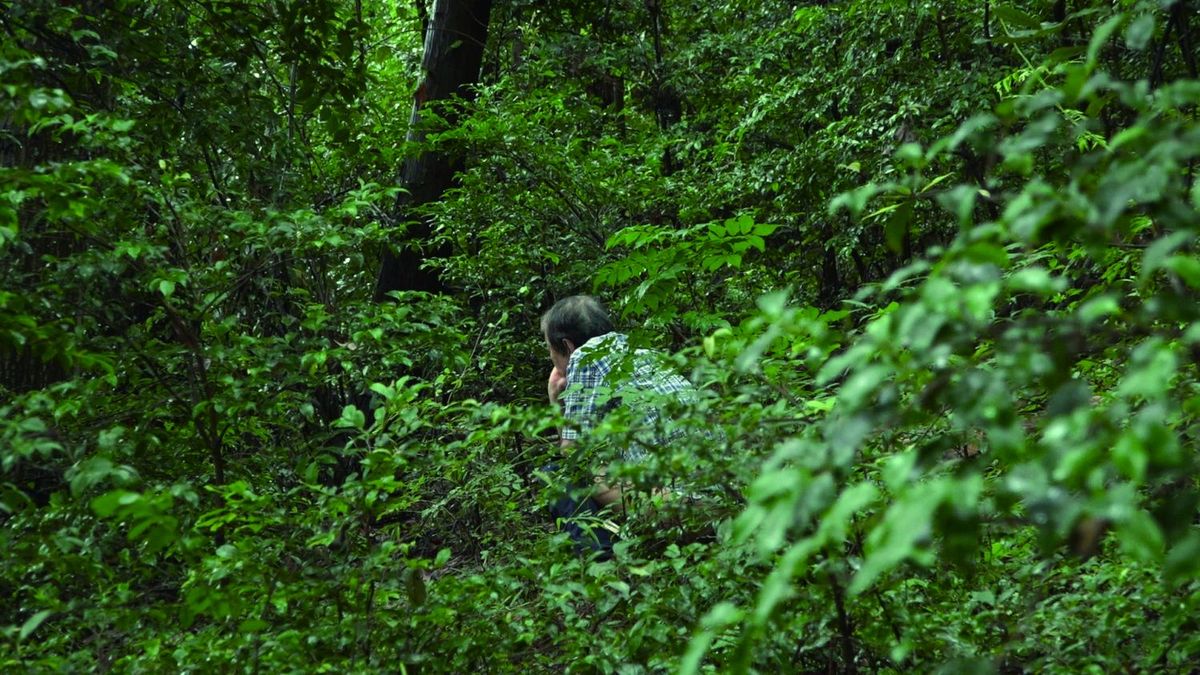 うんこと死体の復権
