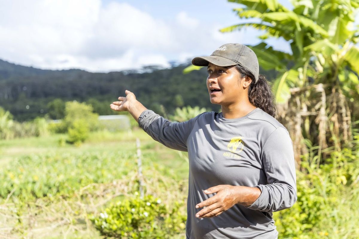 ハワイのタロイモ畑復興のNPO法人「Kākoʻo ʻŌiwi（カコオ・オイヴィ）」メンバー