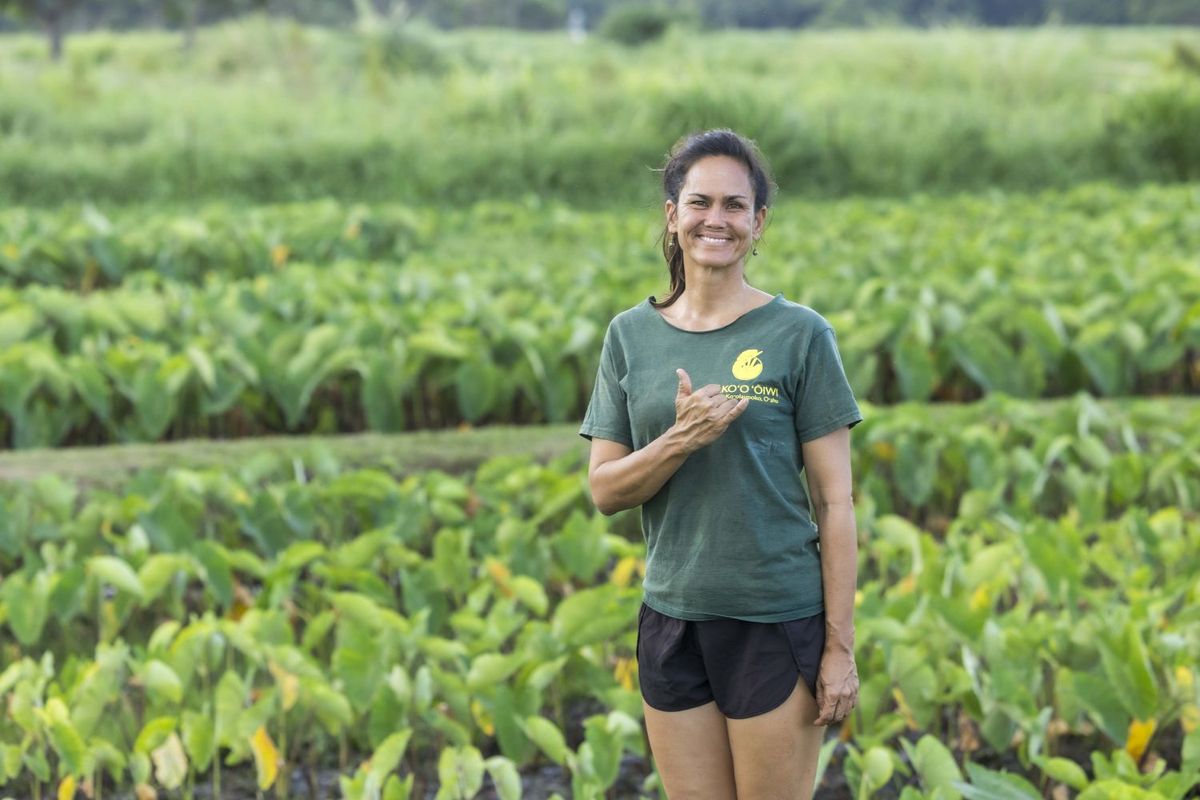 ハワイのタロイモ畑復興のNPO法人「Kākoʻo ʻŌiwi（カコオ・オイヴィ）」メンバー