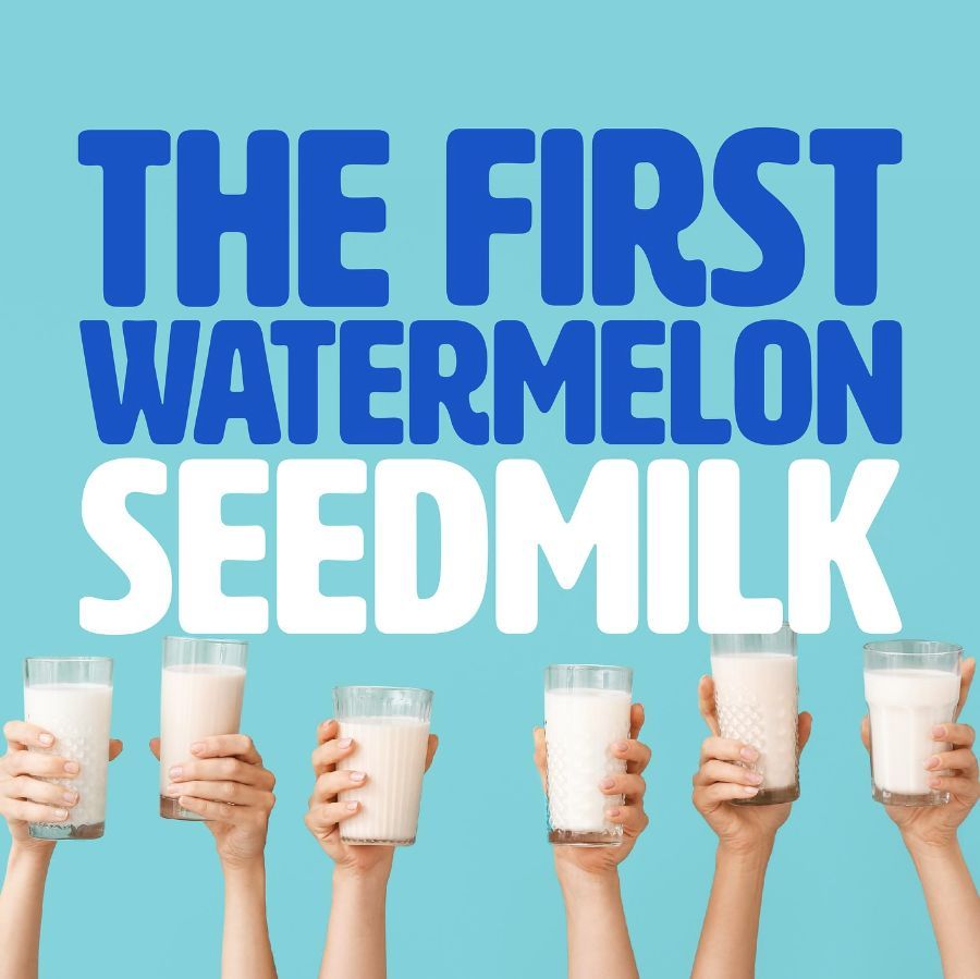 スイカの種からつくったプラントベースミルク